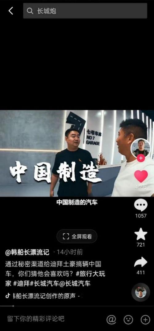 在线国产你懂的,揭秘国产影视作品中的独特魅力与时代印记